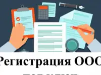 Регистрация ооо, ип 