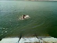 Продам земельный земельный участок
