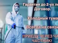 Дезинфекция Уничтожение тараканов клопов мышей Дезинсекция. Удаление запахов, плесени