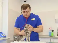 Ветеринарная клиника ДАР, фотография 10