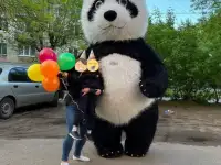 Живая открытка, фотография 6