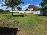 Спил деревьев под ключ