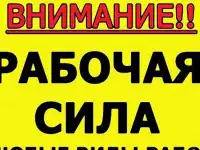 Бригада русских разнорабочих