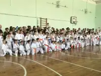 Набор в секцию каратэ, фотография 7