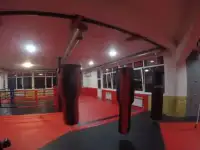 Борцовский ковер, стеновые протекторы, маты..., фотография 2