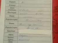 Британские котята, фотография 4