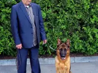 Профессиональная дрессировка