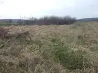 Продам ухоженный участок правильной формы 2.5 га