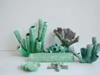 Кораллы для аквариума, фотография 5