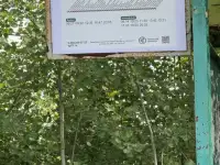 Участок в СНТ Моторостроитель, фотография 5