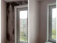 Дезинфекция Уничтожение тараканов клопов мышей Дезинсекция. Удаление запахов, плесени, фотография 7