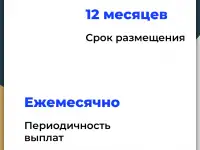 Инвестиции с доходностью 40 годовых. Товарный бизнес на маркетплейсах, фотография 3