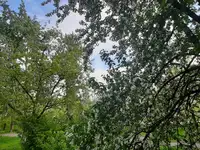 Квартира, 33,00 м², 1 эт., Канавинский, Сергея акимова ул, 2, фотография 11