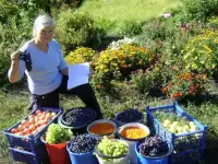 Продажа саженцев