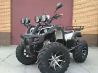 КВАДРОЦИКЛ YAMAHA GRIZZLY ATV 250CC, фотография 2