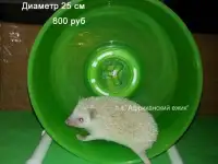 Беговое колесо для ежика, фотография 4
