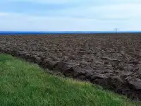 Хозяйство 1600 Га