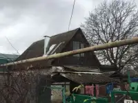 Продам дачу, 7 проезд N59 34,00 м2, фотография 3