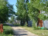 Отдых на Волге Саратов с питанием, фотография 2
