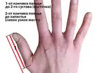 Тренажер для разработки большого пальца, фотография 6