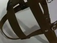 Карабины полуавтоматы для поводков и цепей, шлейки., фотография 7