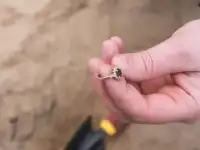 Услуги металлоискателя