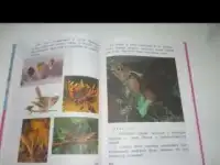 Рисование, фотография 3