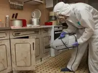 Уничтожение тараканов клопов