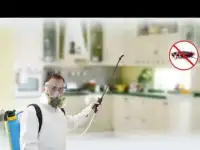 Профессиональное уничтожение насекомых и грызунов