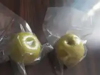 Профвакуум, фотография 4