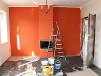 Косметический ремонт кухни. Профи, фотография 4
