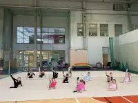Центр художественной гимнастики Оливия набор с 3-х лет, фотография 4