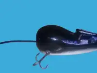 Приманка на тайменя и щуку