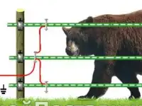 Комплект OLLI для Медведей 100м, фотография 4