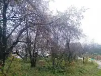 Участок 5.1 сот. (СНТ, ДНП), фотография 4