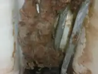 Ремонт стиральных машин.