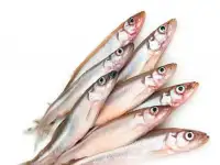 Опт корюшка