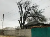 Спил деревьев, расчистка участка, покос травы по всему ЛНР, фотография 5