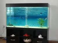 Аквариум 500л. с крышкой и тумбой, новый, фотография 2