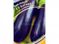 Продаем семена баклажан