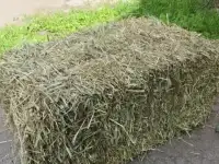 Сено разнотравье, фотография 2