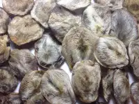 Куплю Струя кабарги Мускус Звоните Иркутск