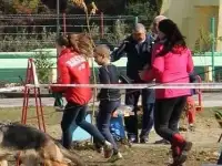 Щенки от титулованных производителей.Германии, фотография 4
