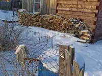 Дом 14.7 м2 на участке 14 сот., фотография 5