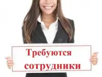 Рабочие для обрезки плодовых деревьев