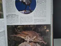 Детская энциклопедия, фотография 2