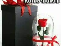 Роза в колбе