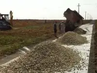 Вывоз снега Вывоз мусора Песок щебень чернозем, фотография 2