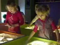 Развивающий детский центр