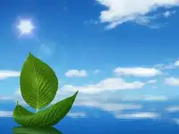 Бурение скважин на воду